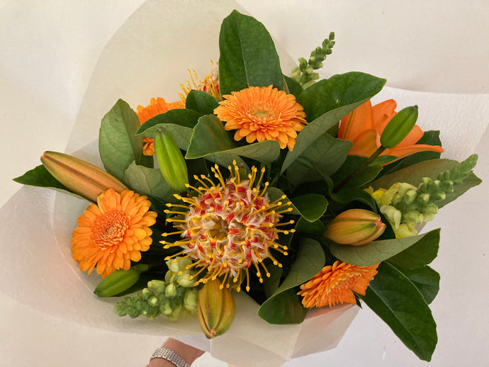 Bright bouquet with orange lillium,gerberas,pin cushions and snaps when in season.Gift wrapped and delivered with a water bag for freshness.